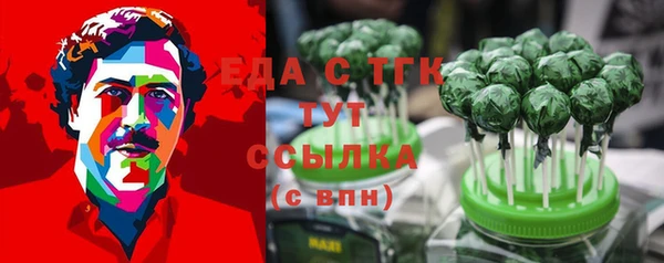 гидра Карпинск