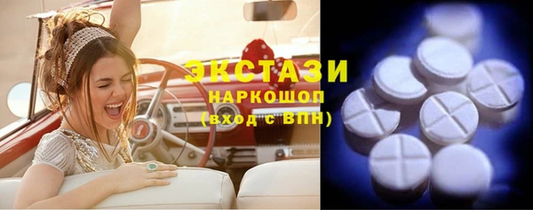 гидра Карпинск