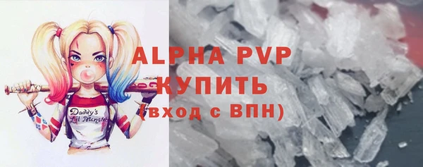 гидра Карпинск