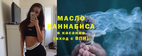 гидра Карпинск