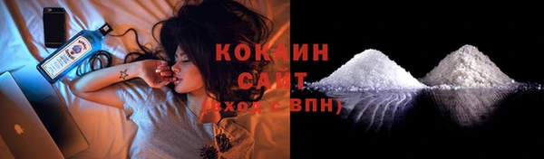 гидра Карпинск