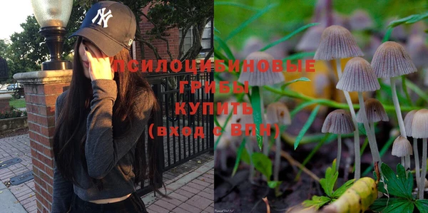 крисы Карталы