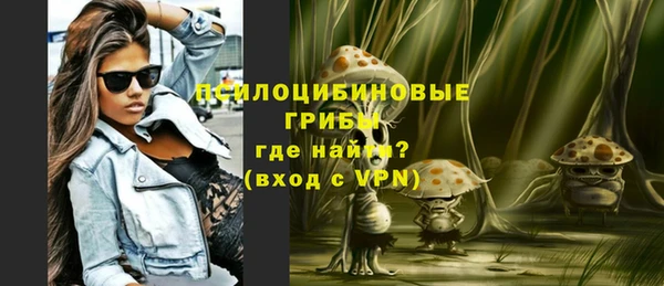 крисы Карталы