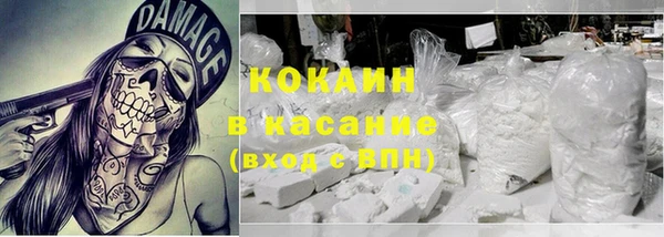 гидра Карпинск