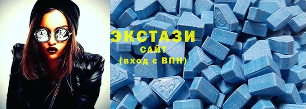 гидра Карпинск