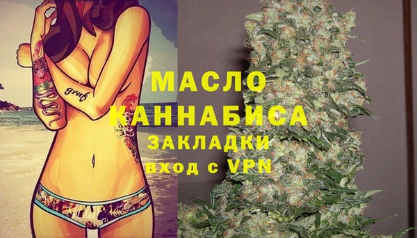 гидра Карпинск