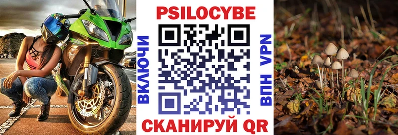Галлюциногенные грибы мицелий  Купить где  Жиздра 